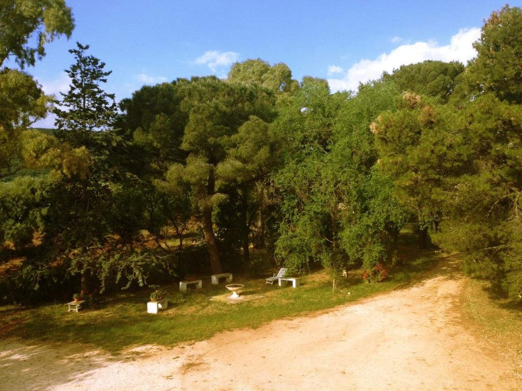 Masseria Gianecchia تْشيستيرنِنو المظهر الخارجي الصورة