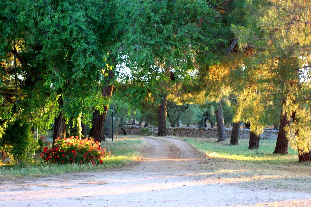 Masseria Gianecchia تْشيستيرنِنو المظهر الخارجي الصورة